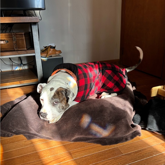 Meet your Posher, Joanna - Picture 16 of 16